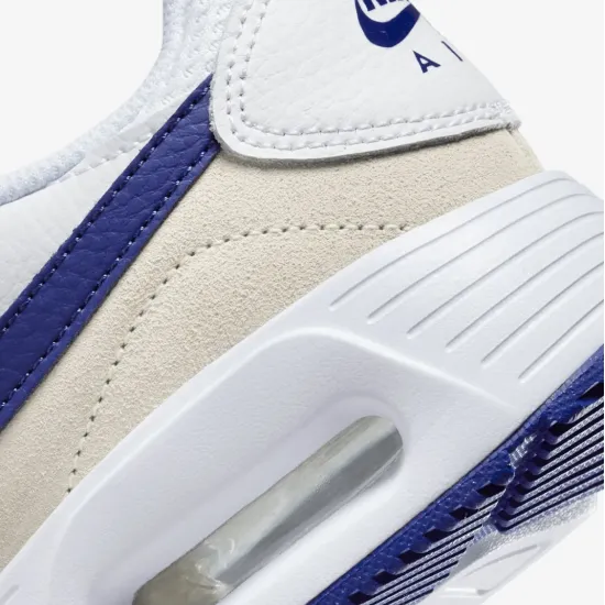 Кросівки Nike Air Max SC CW4554-110