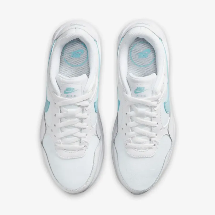 Кросівки Nike Air Max SC CW4554-112