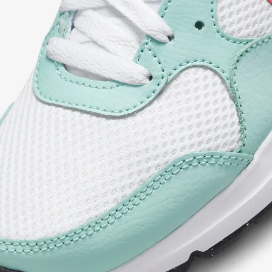 Кросівки Nike Air Max SC CW4554-115