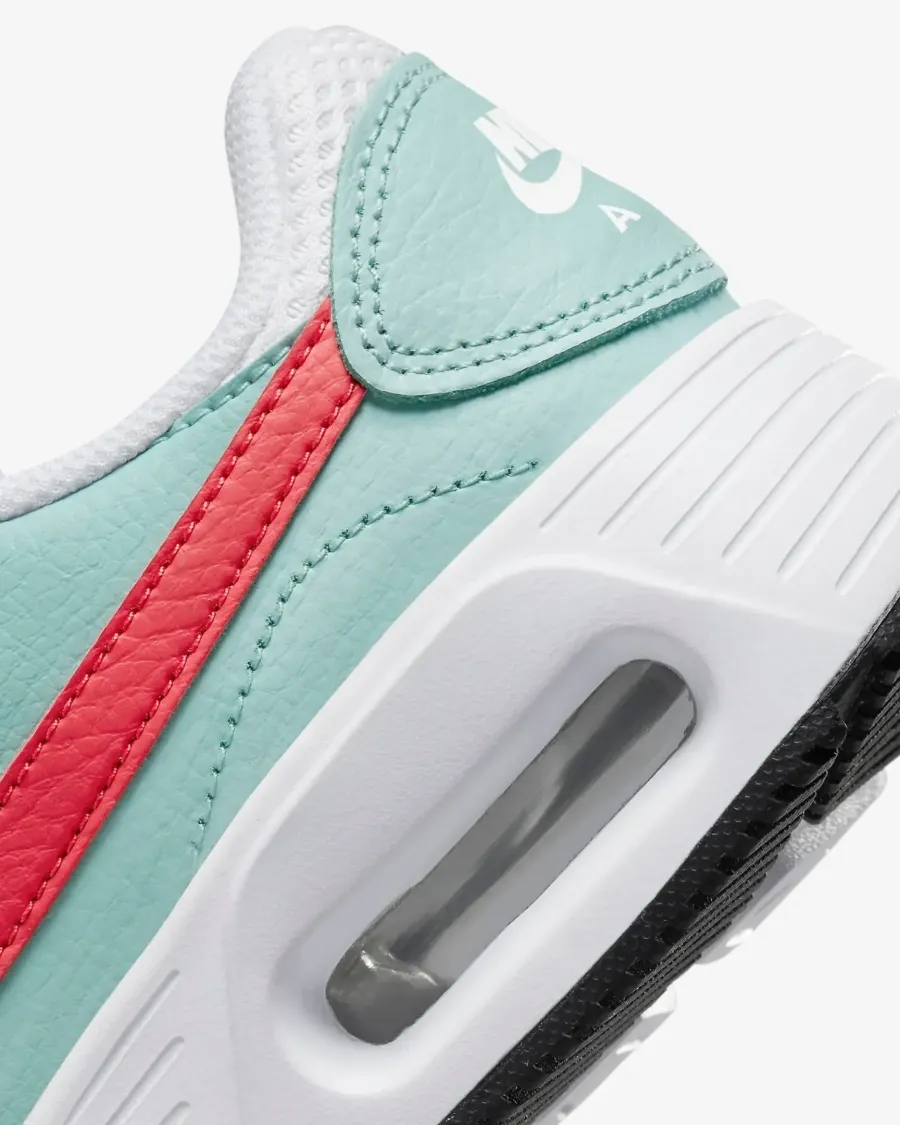 Кросівки Nike Air Max SC CW4554-115