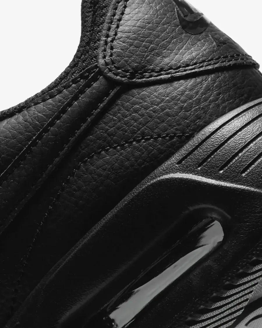 Кросівки Nike Air Max SC CW4555-003