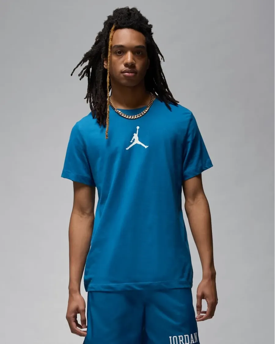 Футболка Nike Air Jordan Jumpman Dri-FIT CW5190-457