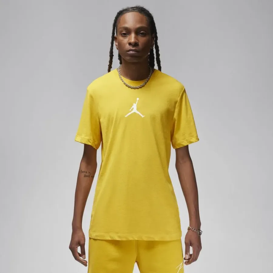 Футболка Nike Air Jordan Jumpman Dri-FIT CW5190-752