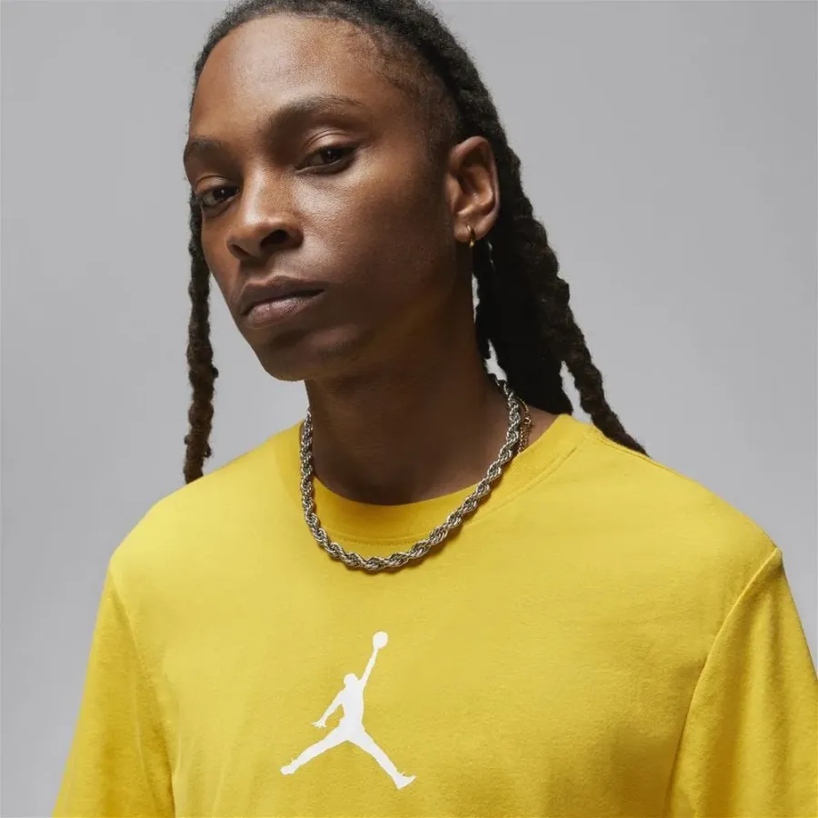 Футболка Nike Air Jordan Jumpman Dri-FIT CW5190-752