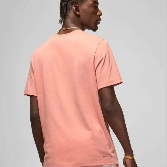 Футболка Nike Air Jordan Jumpman Dri-FIT CW5190-824