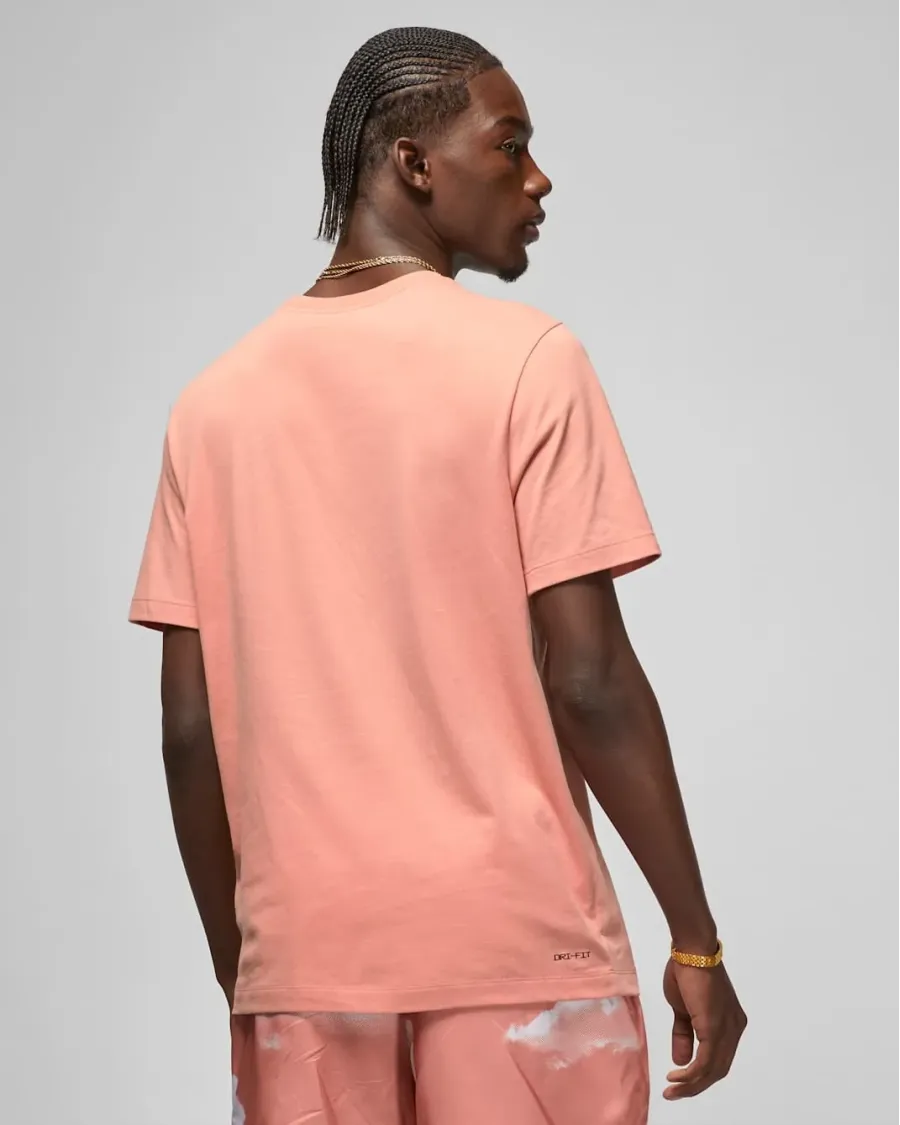 Футболка Nike Air Jordan Jumpman Dri-FIT CW5190-824