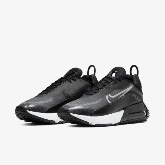 Кросівки Nike Air Max 2090 CW7306-001