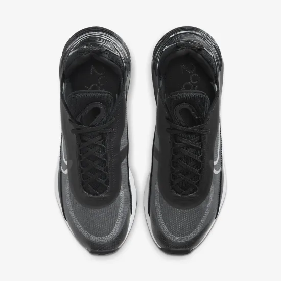 Кросівки Nike Air Max 2090 CW7306-001