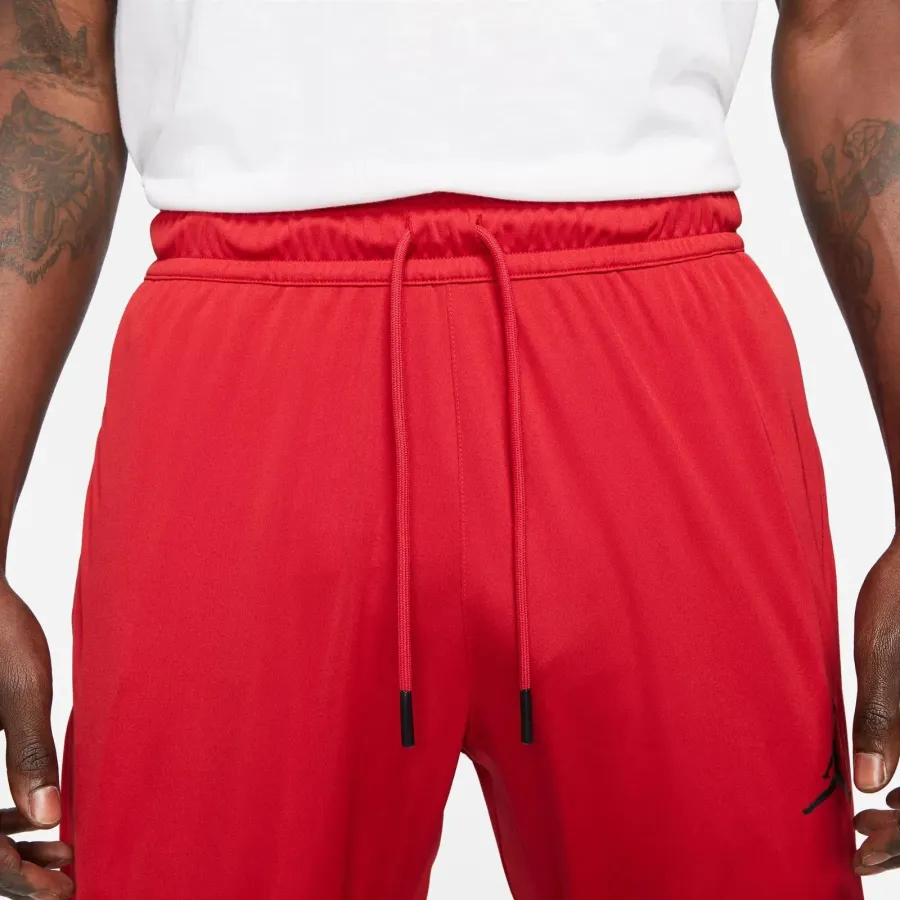 Штани Nike Air Jordan Dri‑FIT CZ4790-687