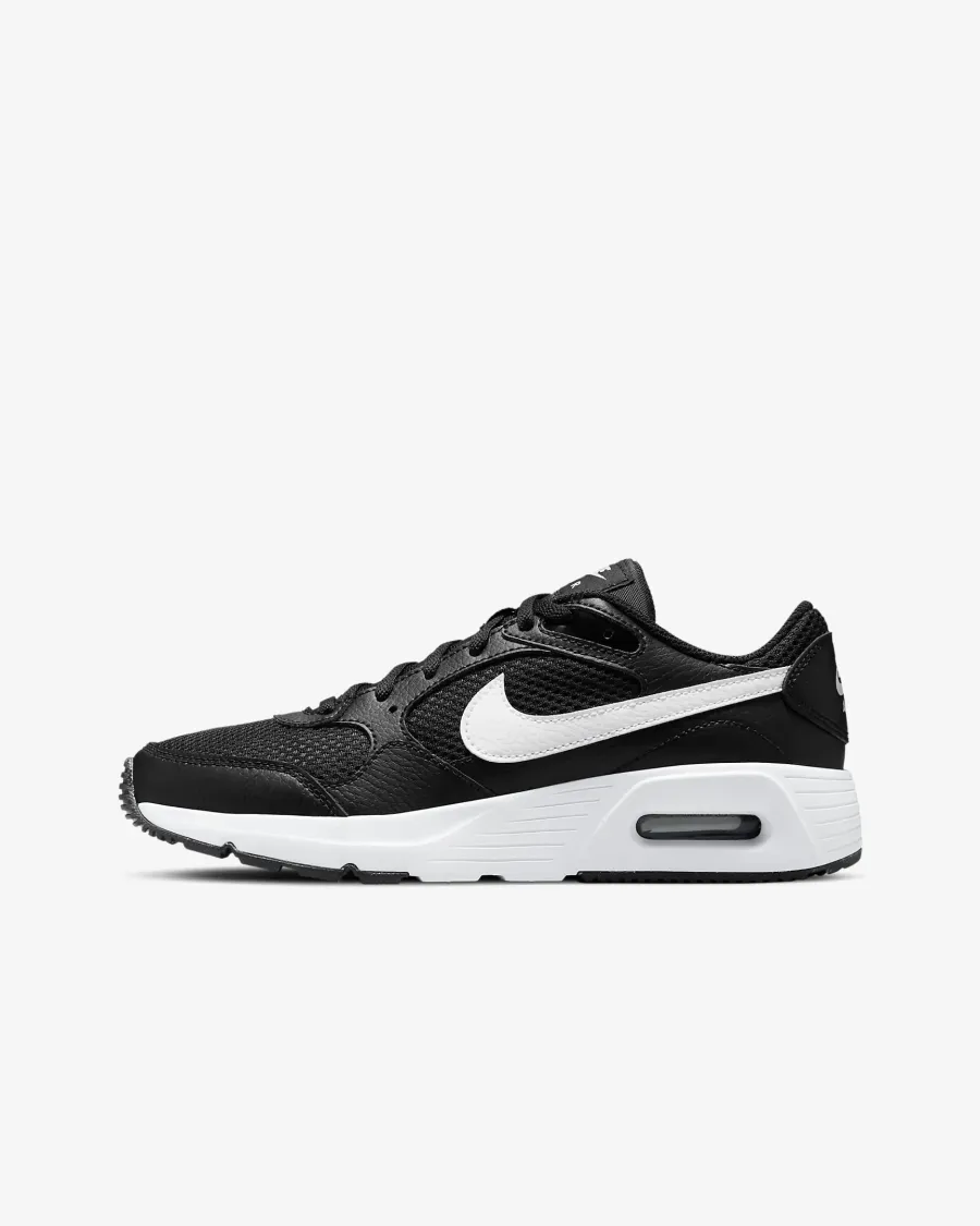 Кросівки Nike Air Max SC CZ5358-002