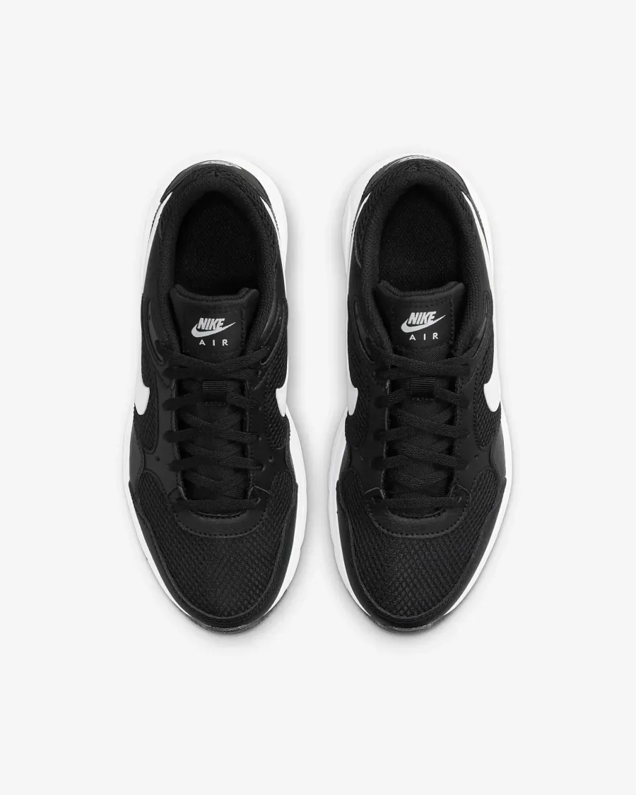Кросівки Nike Air Max SC CZ5358-002