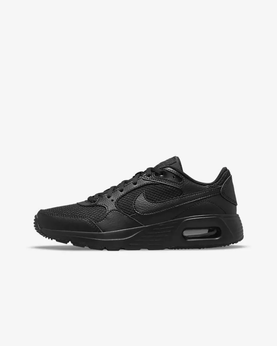 Кросівки Nike Air Max SC CZ5358-003