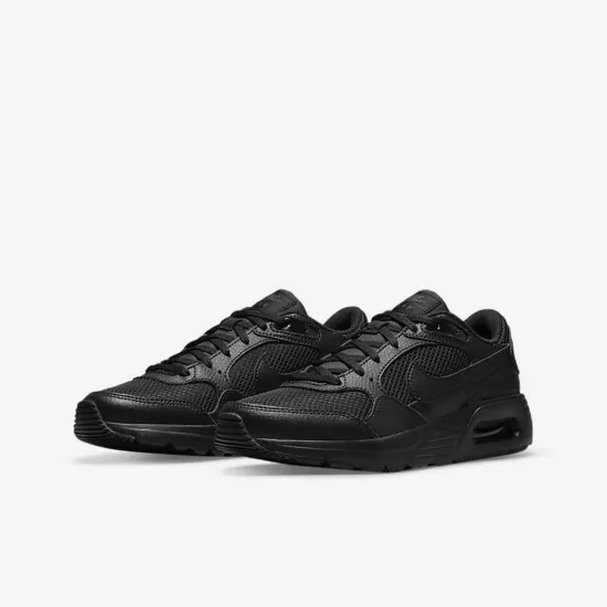 Кросівки Nike Air Max SC CZ5358-003