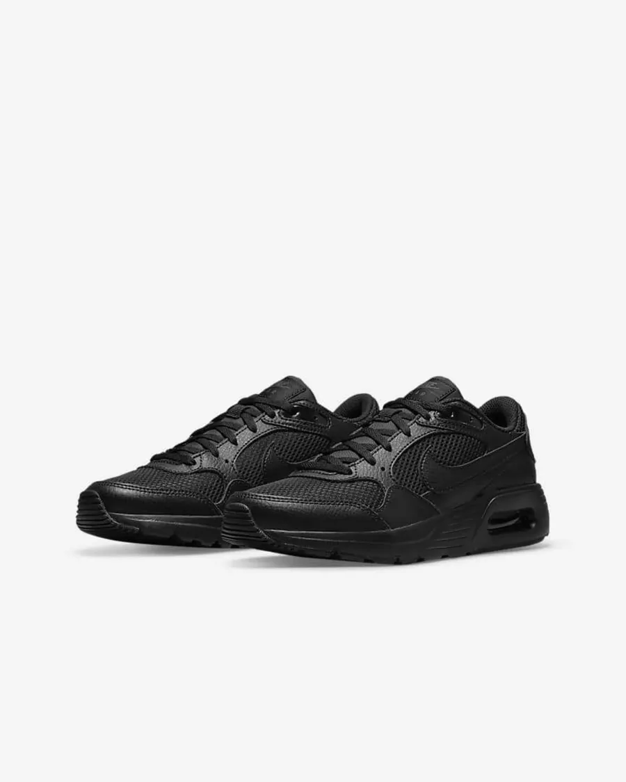 Кросівки Nike Air Max SC CZ5358-003
