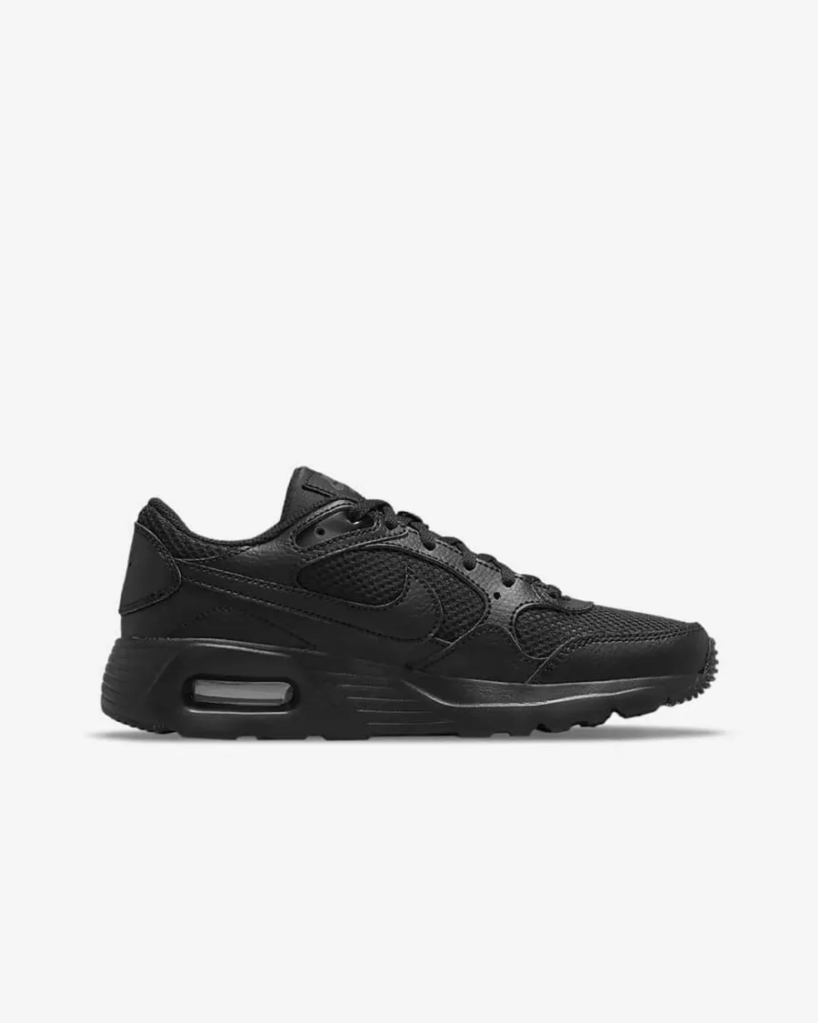 Кросівки Nike Air Max SC CZ5358-003