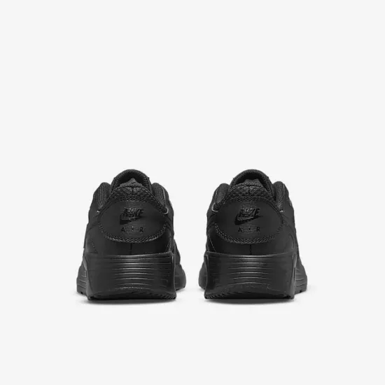 Кросівки Nike Air Max SC CZ5358-003