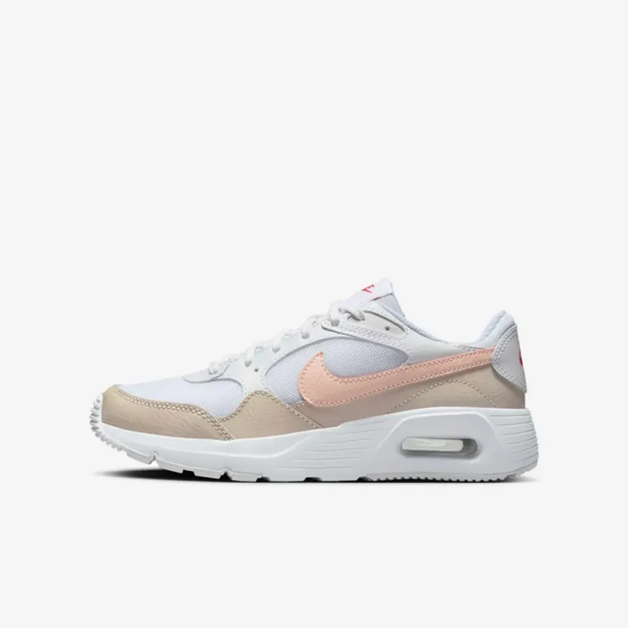 Кросівки Nike Air Max SC CZ5358-122