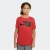 Футболка Nike Dri-FIT HBR DA0282-657
