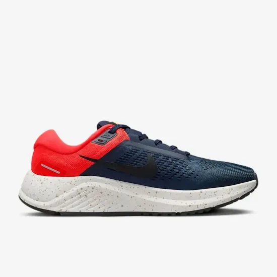 Кросівки Nike Air Zoom Structure 24 DA8535-403