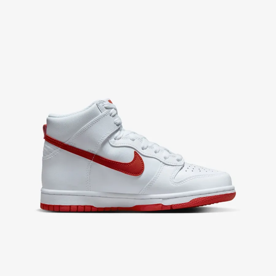 Кросівки Nike Dunk High DB2179-111