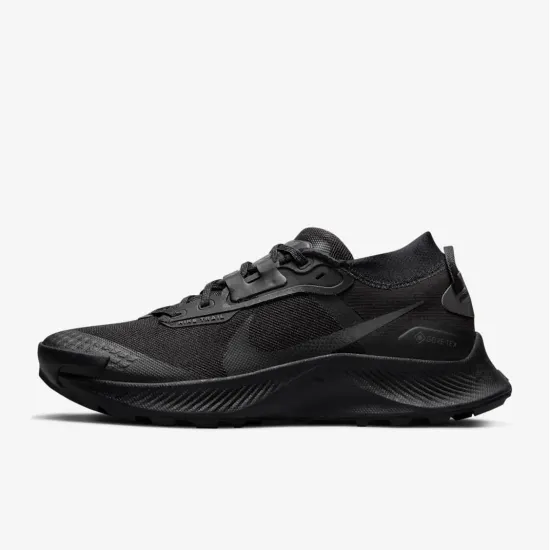 Кросівки Nike Pegasus Trail 3 Gore-Tex DC8794-001