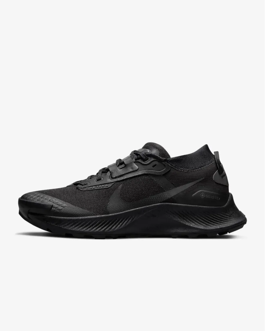 Кросівки Nike Pegasus Trail 3 Gore-Tex DC8794-001