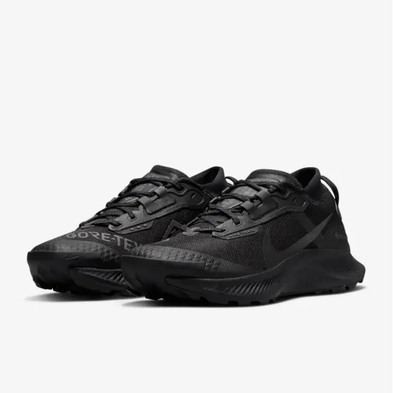 Кросівки Nike Pegasus Trail 3 Gore-Tex DC8794-001