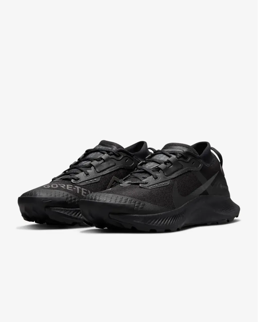 Кросівки Nike Pegasus Trail 3 Gore-Tex DC8794-001
