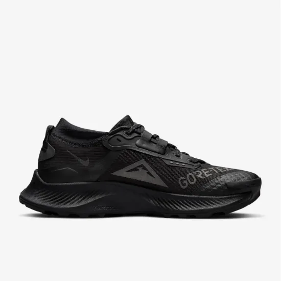 Кросівки Nike Pegasus Trail 3 Gore-Tex DC8794-001