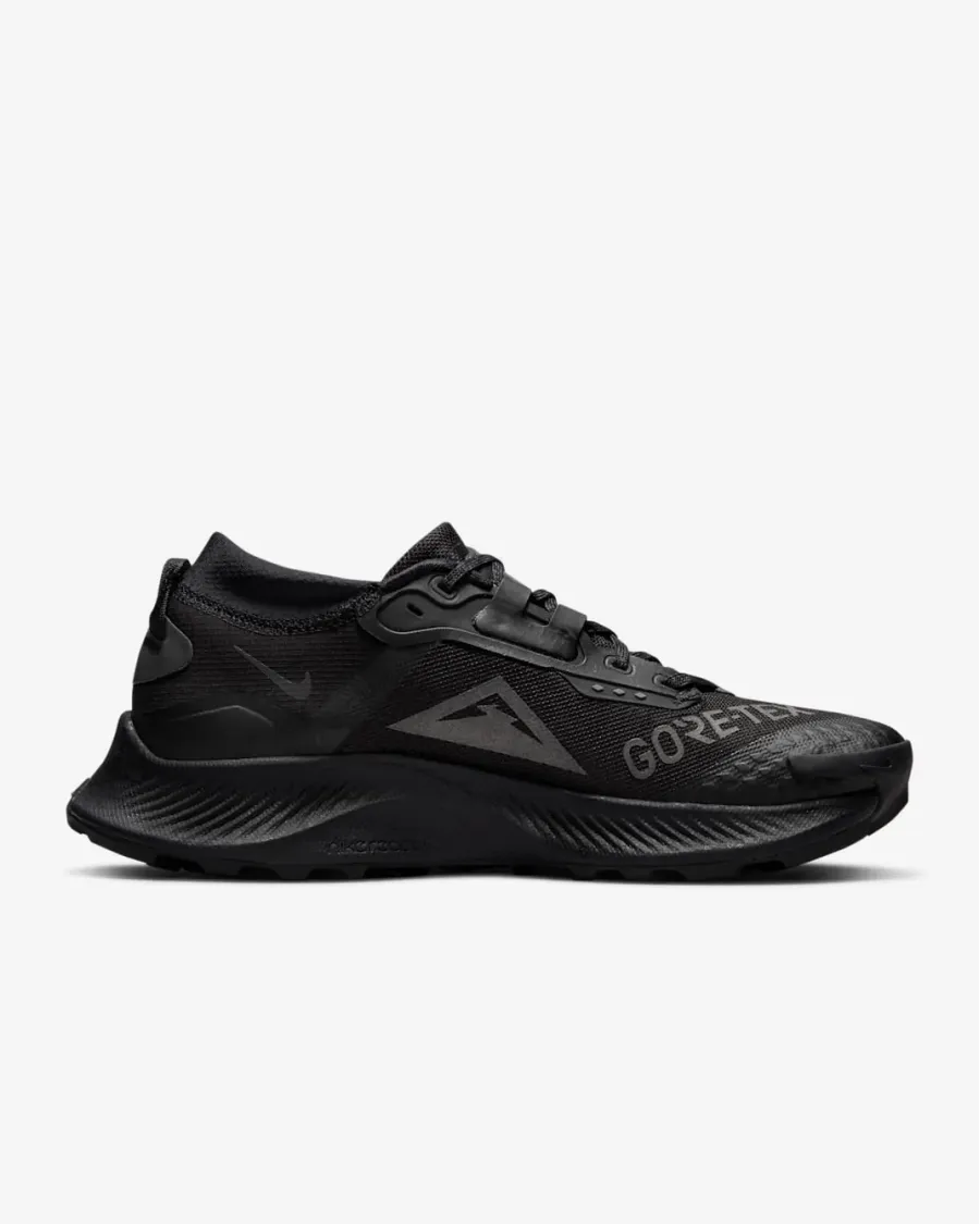Кросівки Nike Pegasus Trail 3 Gore-Tex DC8794-001