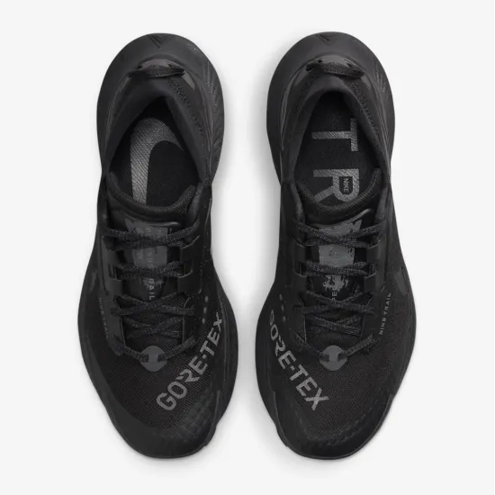 Кросівки Nike Pegasus Trail 3 Gore-Tex DC8794-001