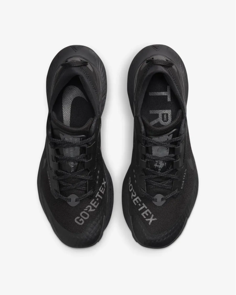 Кросівки Nike Pegasus Trail 3 Gore-Tex DC8794-001