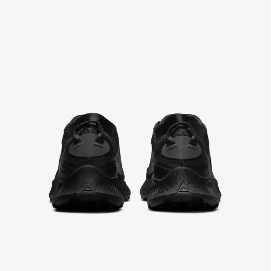 Кросівки Nike Pegasus Trail 3 Gore-Tex DC8794-001