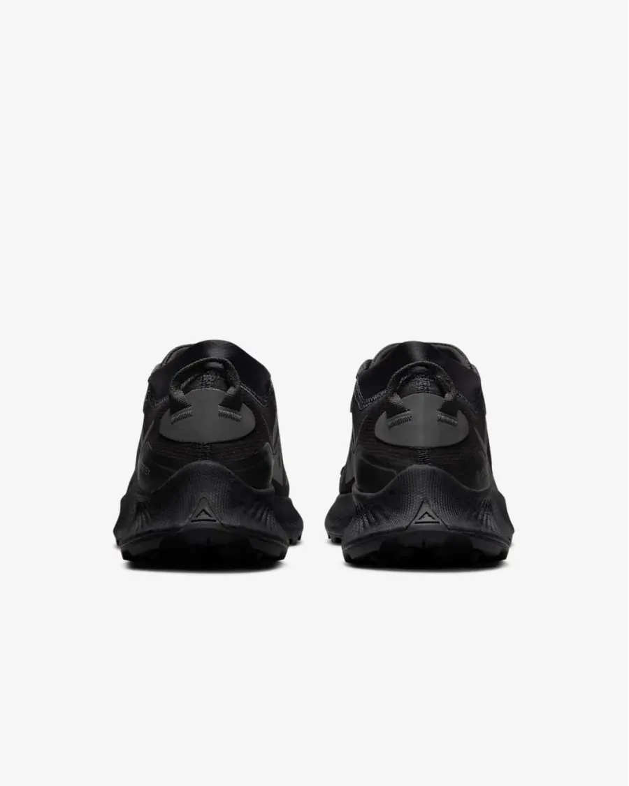 Кросівки Nike Pegasus Trail 3 Gore-Tex DC8794-001