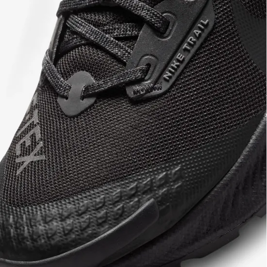 Кросівки Nike Pegasus Trail 3 Gore-Tex DC8794-001