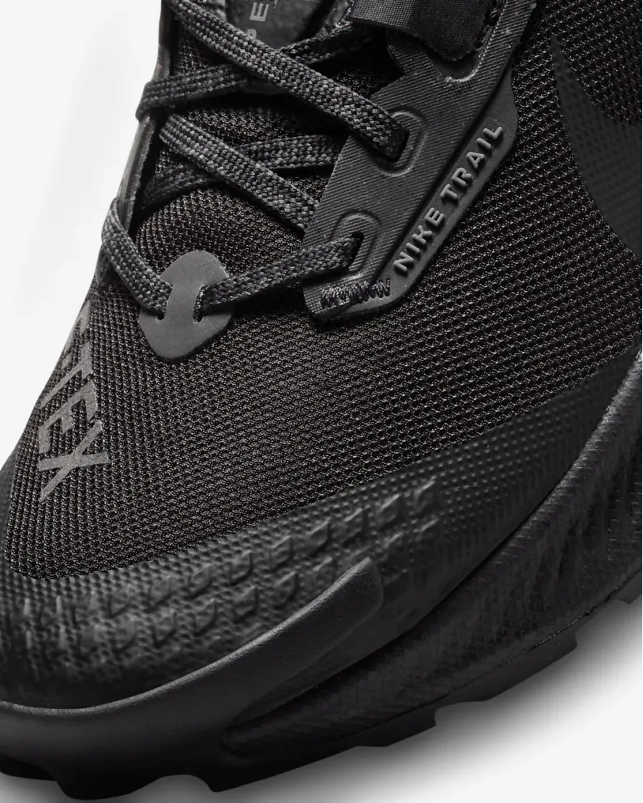 Кросівки Nike Pegasus Trail 3 Gore-Tex DC8794-001
