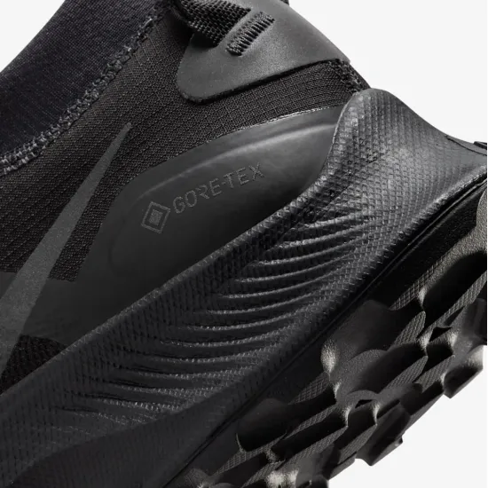 Кросівки Nike Pegasus Trail 3 Gore-Tex DC8794-001