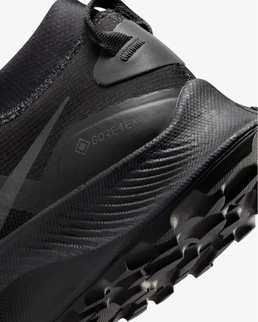 Кросівки Nike Pegasus Trail 3 Gore-Tex DC8794-001