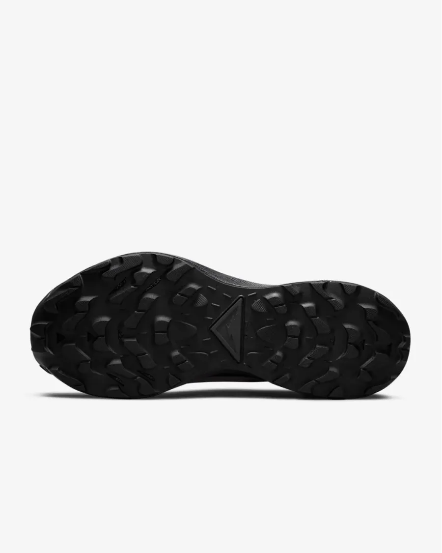 Кросівки Nike Pegasus Trail 3 Gore-Tex DC8794-001
