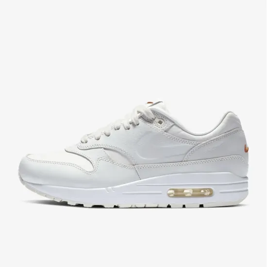 Кросівки Nike Air Max 1 DC9204-100