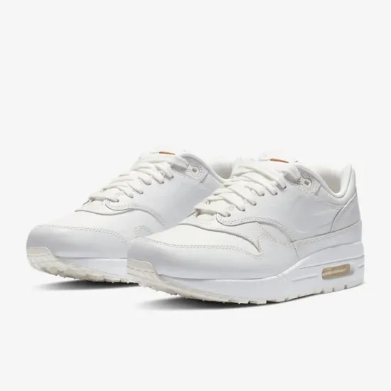 Кросівки Nike Air Max 1 DC9204-100