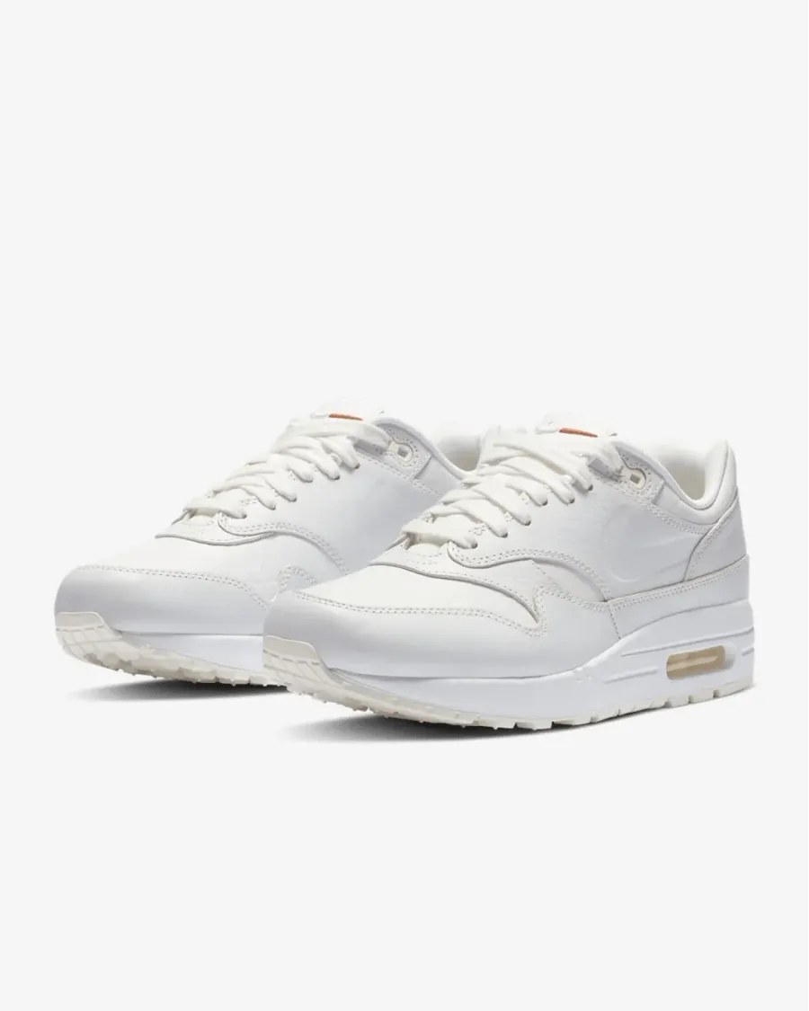 Кросівки Nike Air Max 1 DC9204-100