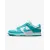 Кросівки Nike Dunk Low Retro Next Nature DD1873-105
