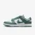 Кросівки Nike Dunk Low Retro Next Nature DD1873-107