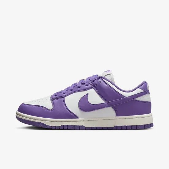 Кросівки Nike Dunk Low Retro Next Nature DD1873-108