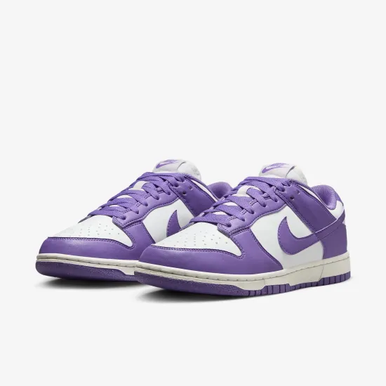 Кросівки Nike Dunk Low Retro Next Nature DD1873-108