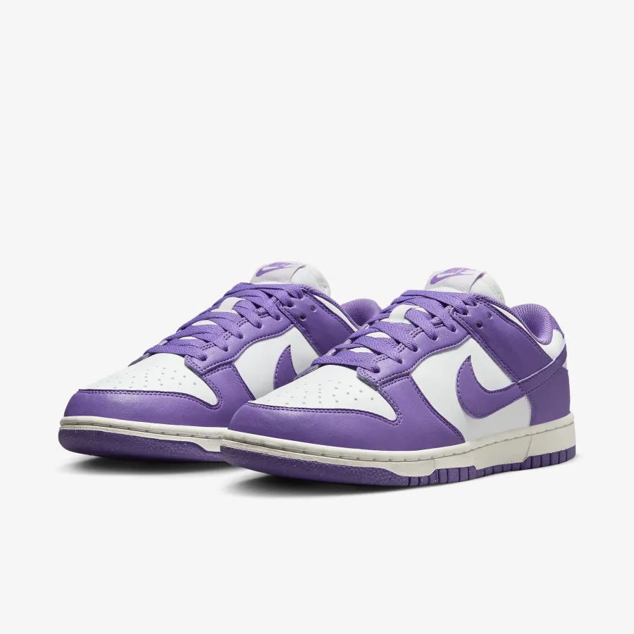 Кросівки Nike Dunk Low Retro Next Nature DD1873-108