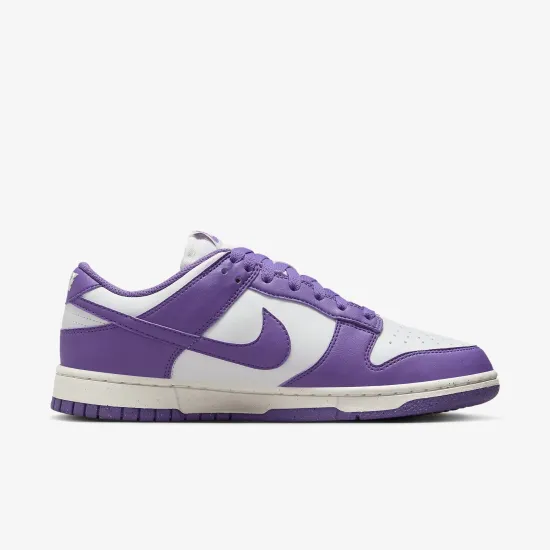 Кросівки Nike Dunk Low Retro Next Nature DD1873-108