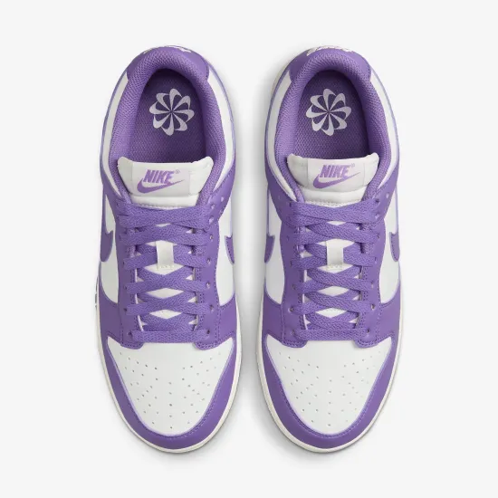Кросівки Nike Dunk Low Retro Next Nature DD1873-108