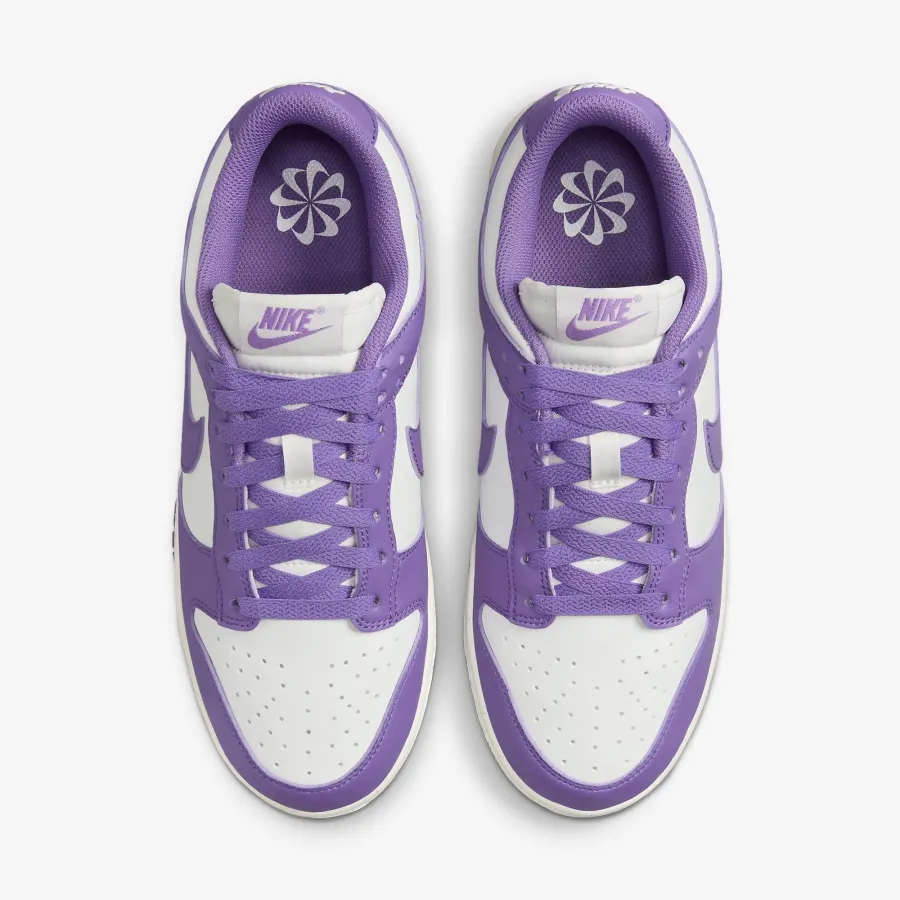 Кросівки Nike Dunk Low Retro Next Nature DD1873-108